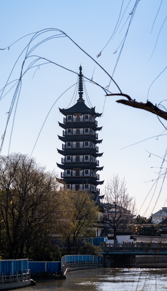 上海普陀真如公园冬日看真如寺塔