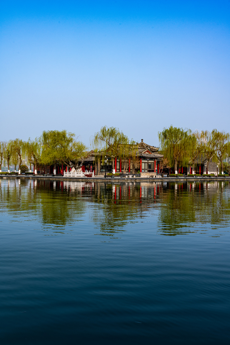 山东济南大明湖风景区大明湖春早