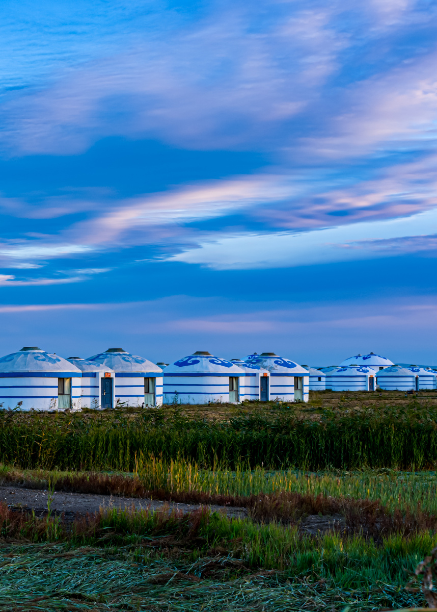 河北张家口张北中都草原蒙古包与牧马人
