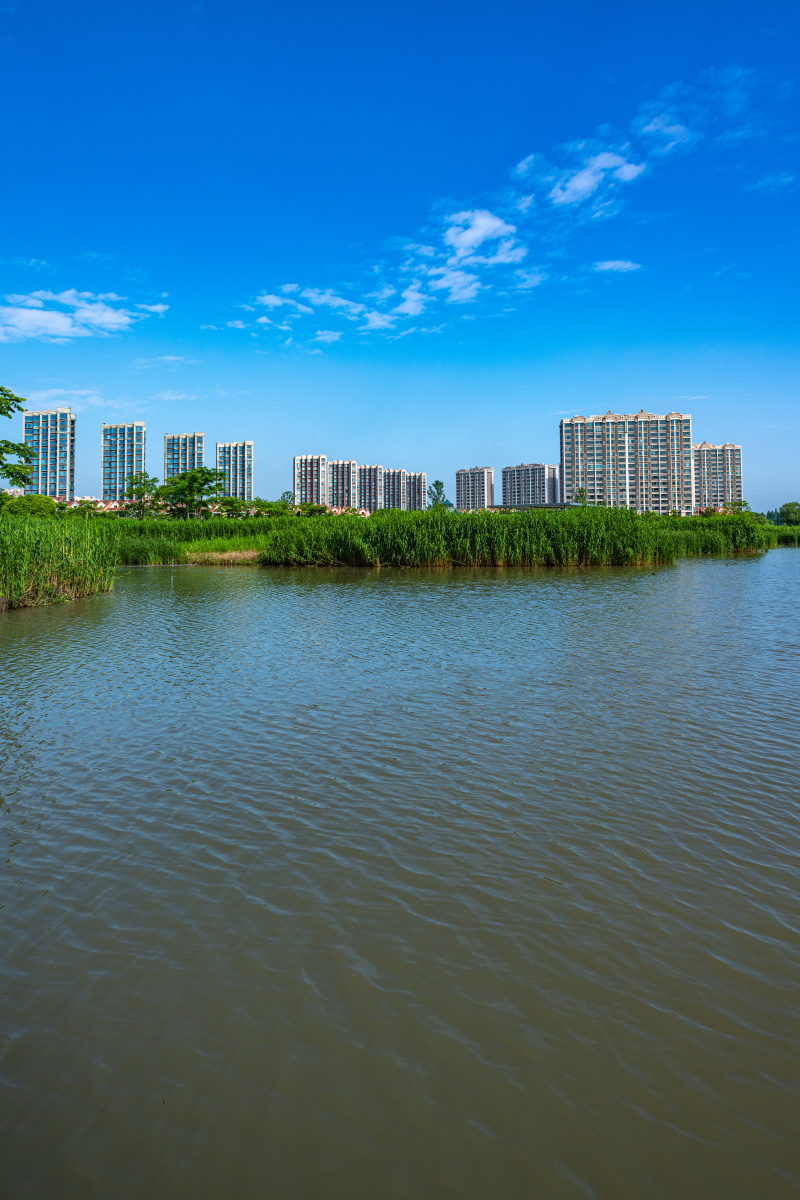 上海嘉定南翔陈翔留云湖湿地公园景观