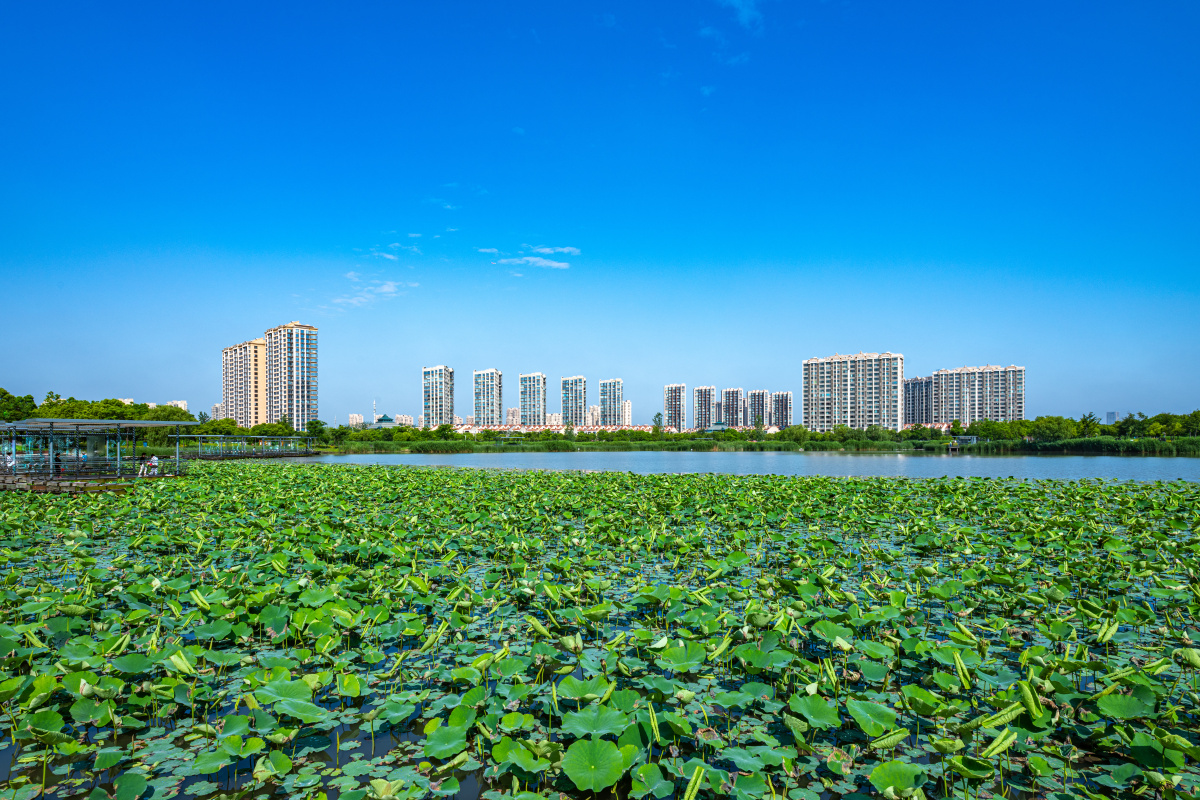 上海嘉定南翔陈翔留云湖湿地公园景观