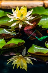 001
