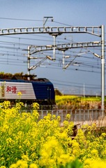 184763