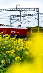 184828