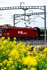184771