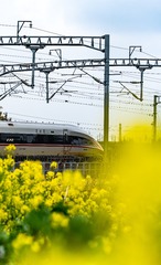 184805