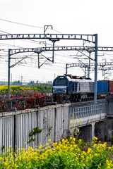 184717