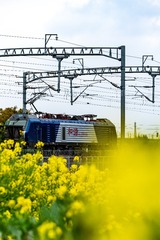 184812