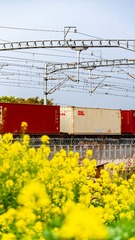 184757