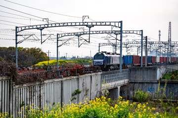 184716