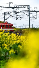 184816