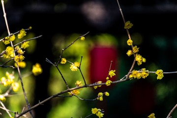 2125DF6D-F4BE-4451-9995-BC33330F68CE/L0/001