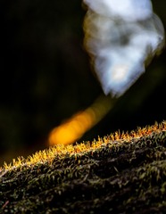 E0CB289F-B358-4FFD-AE0A-26D26629BC3F/L0/001