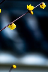C61D2DB4-C23D-4416-A1C6-2235C34CEE39/L0/001