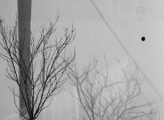20140125-DSC_6834