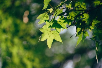 20120126-DSC_0522