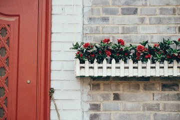 20120126-DSC_0576