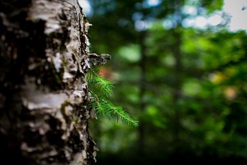 IMG_7254