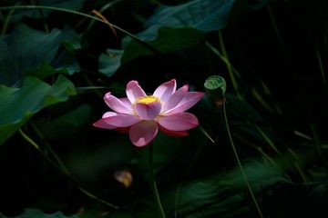 IMG_2432