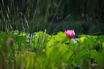IMG_2391