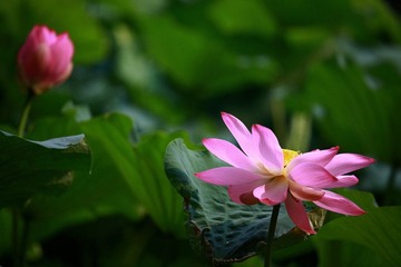 IMG_2381