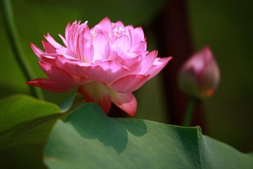 IMG_2356