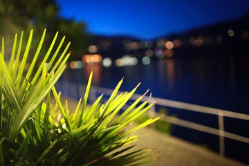 IMG_1809