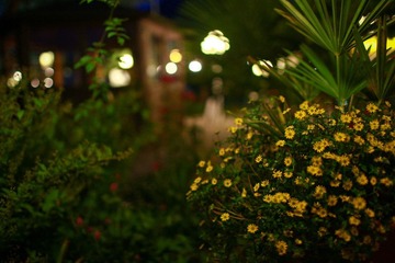 IMG_1801