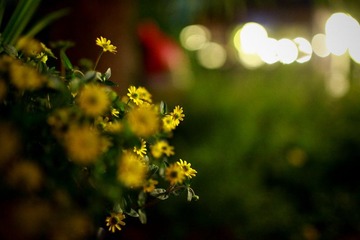 IMG_1795