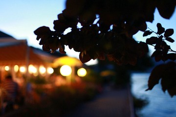 IMG_1774