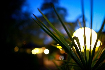IMG_1768