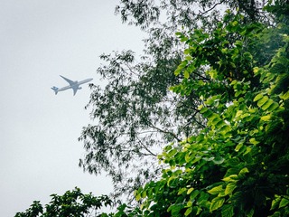 06509A98-D4CA-40FC-9C91-C8AAAE343410/L0/001