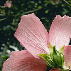 F05F8DC8-855D-4A09-A1BB-1C5E362DA91E/L0/001