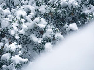 85F25802-8B5C-4FF2-8D8A-720FC874F74B/L0/001