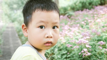 E63191D3-CB44-4541-A66D-CE9AD8BCB1E0/L0/001