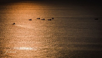 100824_MG_5656_晨归