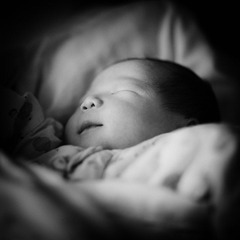111228_MG_8084-Edit-2.JPG