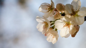 120331_MG_1501.JPG