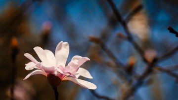120331_MG_1524-Edit.JPG
