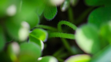 120331_MG_1566.JPG