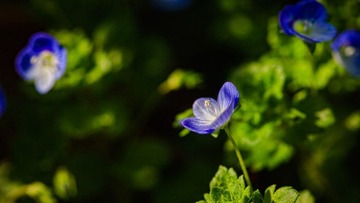 120331_MG_1602-Edit.JPG