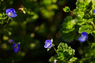 120331_MG_1607.JPG