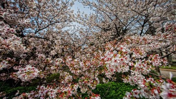 120404_MG_4237-Edit-2.JPG