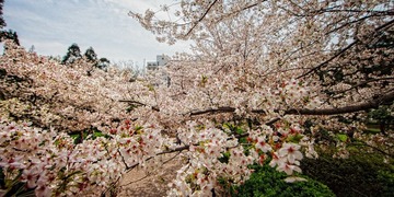 120404_MG_4249-Edit-2.JPG