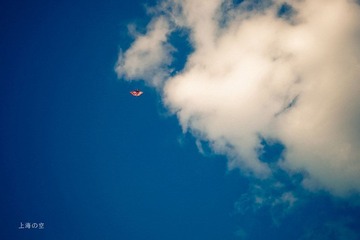 IMG_3244.jpg