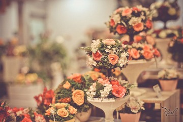 IMG_5686.jpg