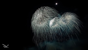 IMG_0029.jpg
