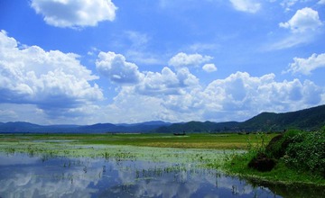 拉市海