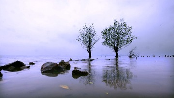 _MG_7234.jpg