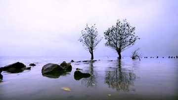 _MG_7234.jpg